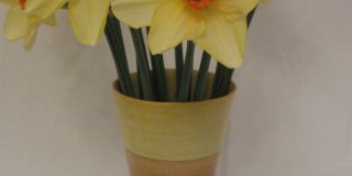 94730567_10215914566449014_5878463287825268736_n